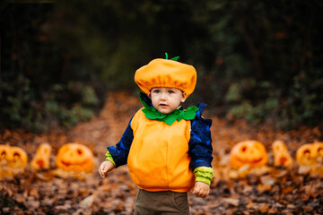 Child in pumpkin costume exploring park at Helloween