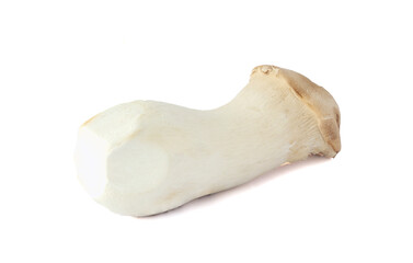 King Oyster mushroom on white background.