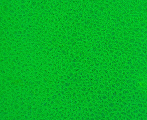 Fototapeta premium The modern concrete tile wall background and texture, painted green