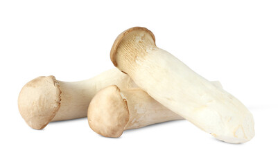 King Oyster mushroom on white background.
