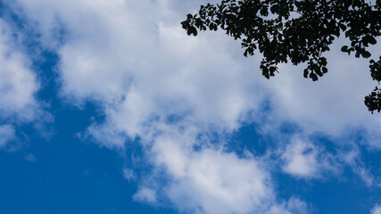 Beautiful blue sky with fluffy clouds. The concept of dreaminess and lightness. Meteorology and atmospheric phenomena. Different types of clouds. Layered clouds.