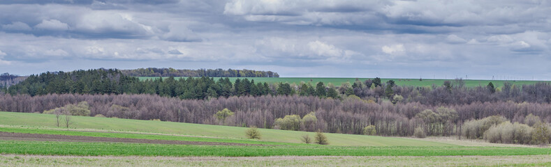 Spring panorama, landscape of fields, forests and cloudy sky © Володимир Дяченко