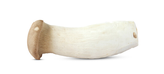 King Oyster mushroom on white background.