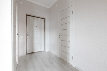 Modern white minimalist interior blank wall. The corridor in the apartment. bright inter-apartment doors.
