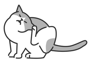 耳がかゆい猫