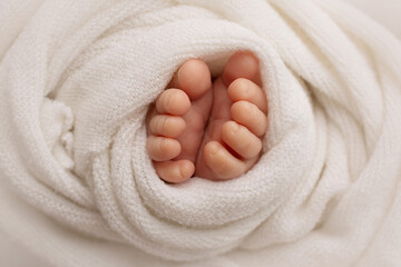 Photo of the legs of a newborn. Baby feet covered with wool isolated background. The tiny foot of a newborn in soft selective focus. Image of the soles of the feet.