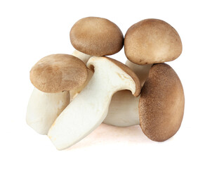 King Oyster mushroom on white background.
