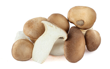 King Oyster mushroom on white background.