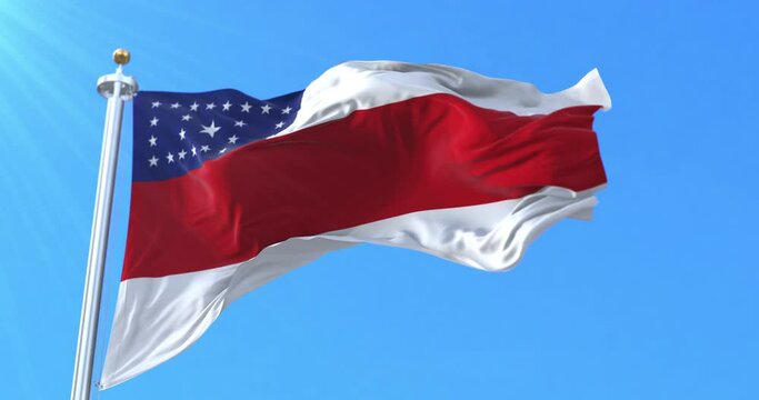 Amazonas state flag, Brazil. Loop