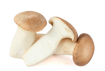 King Oyster mushroom on white background.