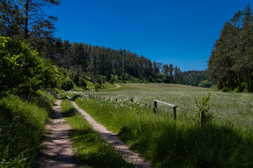 Beautiful hiking trail through the Lampertstal in Blankenheim when the sun is shining