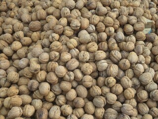 Waln&uuml;sse N&uuml;sse