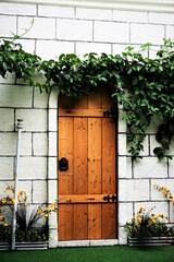 Fototapeta na wymiar old wood door