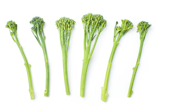 Raw broccolini at the row on white background