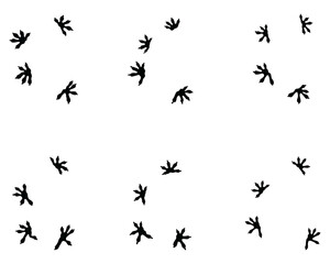 Black footprints of lizard on a white background