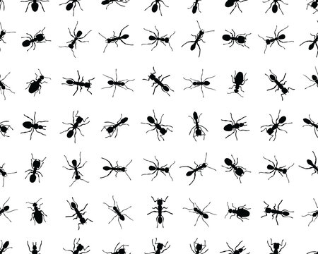Black silhouettes of different ants on a white background, seamless wallpaper