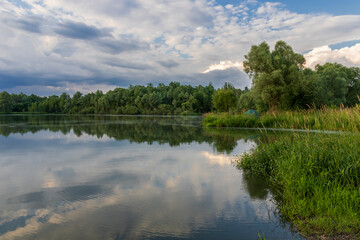 Reflections of trees and sky in the pond in the late afternoon