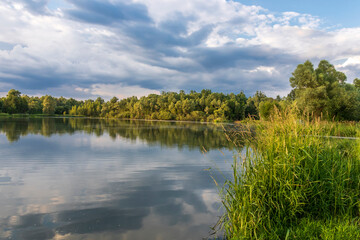 Reflections of trees and sky in the pond in the late afternoon