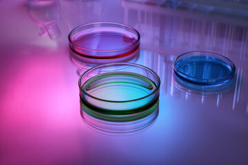 Petri dishes with samples on table, toned in pink and blue