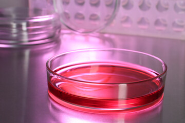 Petri dish with red liquid on table