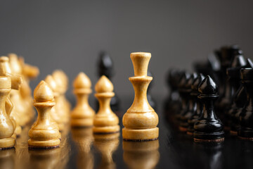 White queen, among the chess pieces. Strategy concept. Victory. Success. Business. Lifestyle.
