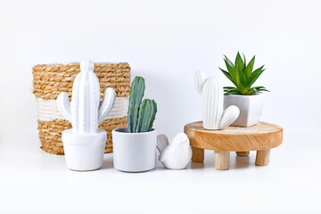 Potted cactus, ceramic cacti and succulent plant arranged on white shelf with home decor