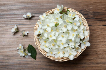 Wicker bowl with beautiful jasmine flowers on wooden table, flat lay
