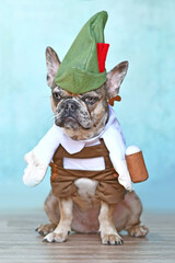 Merle French Bulldog dog dressed up with funny traditional Bavarian 'Oktoberfest' costume with Lederhosen pants, tirol hat and mug of beer held by fake arm