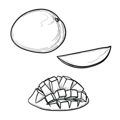 Hand Drawn Mango. Black and white. Vector illustration, isolated on a white background.