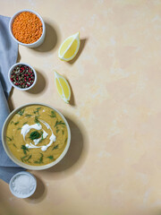 Lentil soup with lemon, pepper, dill on the light background