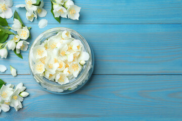 Obraz na płótnie Canvas Flat lay composition with beautiful jasmine flowers on light blue wooden background. Space for text