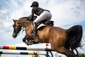 Equestrian Sports photo themed: Woman Jockey, Horse jumping, Show Jumping, Horse riding.	