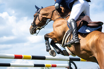 Equestrian Sports photo themed: Horse jumping, Show Jumping, Horse riding competition