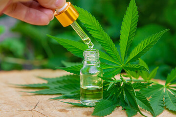 Cannabis extract essential oil in a small bottle. Selective focus.
