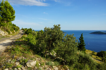 Fototapeta na wymiar Croatia, gravel road near Adriatic coast. 