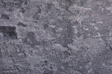 gray stucco grunge wall, abstract background gray wall blank