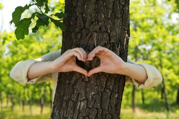 Woman hugging tree trunk and forming heart with hands in forest - obrazy, fototapety, plakaty