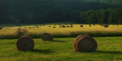 Sunrise on an early Summer's Day here in the Windsor Area in Broome County in Upstate NY. Bails of...