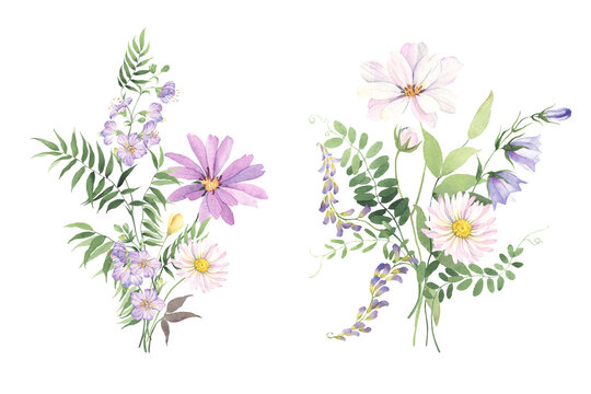 Wildflowers and wild green plants, set of bouquets with delicate flowers and leaves. Watercolor floral illustration isolated on white background for invitation, greeting cards, decor for textile.