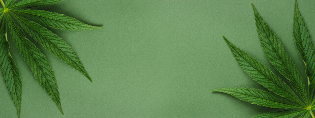 Banner with two cannabis leaves on green background.