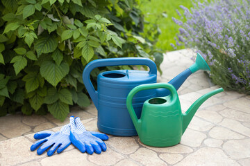 Gardener's set with watering can and gloves for gardening