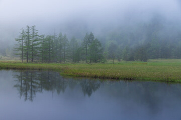 朝霧に包まれる初夏の芳ヶ平湿原