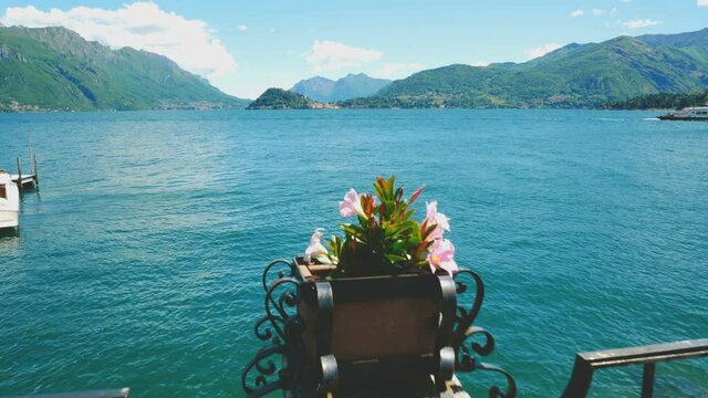 Colorful flowers on the fence of the famous promenade of the village of Menaggio, Lake Como, Italy. In the distance the cape with the village of Bellagio is visible.