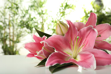 Beautiful pink lily flowers on white table against blurred background