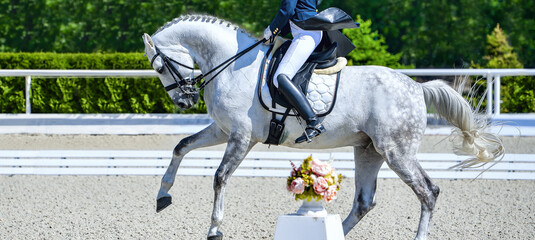 Rider in uniform, equestrian sports. Dressage horses and rider in uniform. Horizontal banner for...