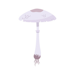 Deadly Amanita Mushroom