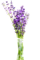 Lavender in a glass vase isolated on white background