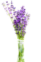 Obraz premium Lavender in a glass vase isolated on white background