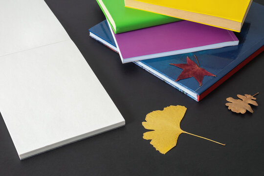 School concept. Colorful  books  and open sketchbook on dark background. Autumn leaves. Free space for text or picture