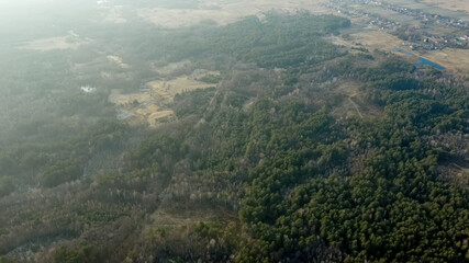 Aerial drone view of deforestation of a pine forest. Ecology concept change tree forest drought and forest refreshing.